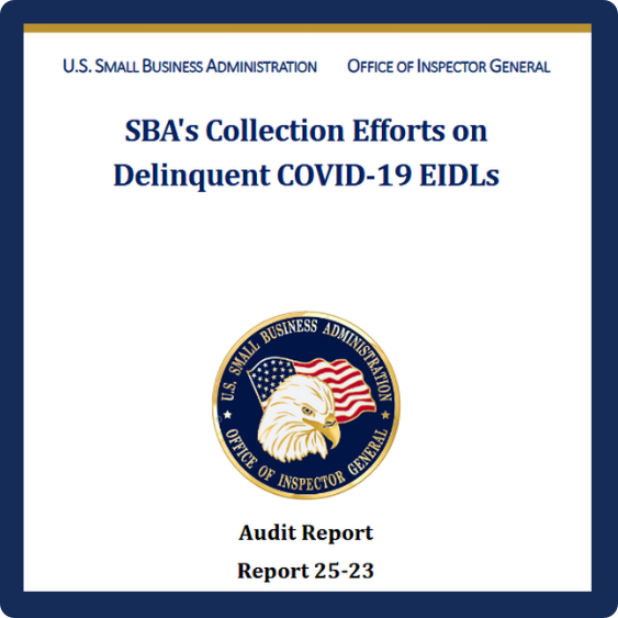 The Inspector General Report Will Have Major Implications For EIDLs in 2026 | The State of EIDLs